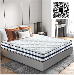 天坛逸舒乳胶整网弹簧床垫 1800*2000*250